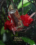 Paris Corner Ibisco Nirvana 65 ml EDP
