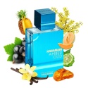 Al Haramain Amber Oud Aqua Dubai 75 ml EDP