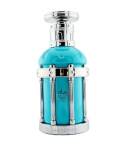 Paris Corner Reham Wild Mineral 100 ml EDP