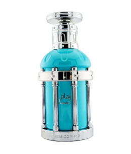 Paris Corner Reham Wild Mineral 100 ml EDP