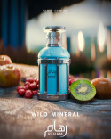 Paris Corner Reham Wild Mineral 100 ml EDP
