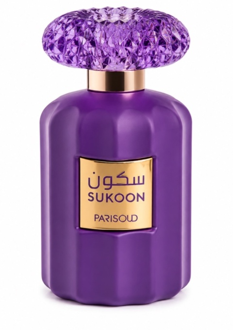 Paris Oud Sukoon 100 ml EDP
